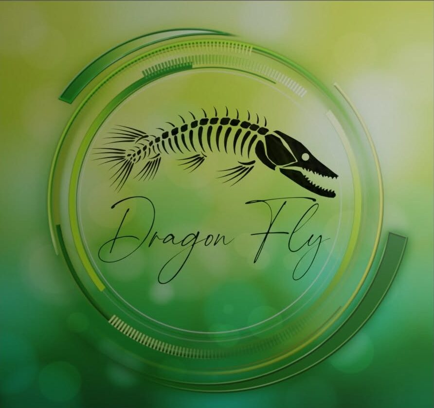                                                         Dragon Fly Shop